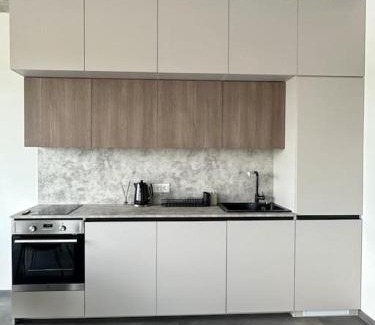 Kaunas Apartamento | River Apartments Nemunaiciai