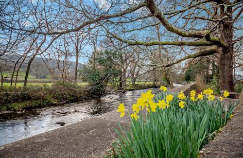 Llanbedr Apartamento | River Artro Townhouse