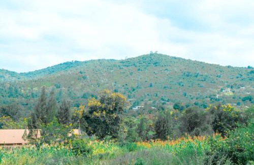 Sagana Cama Y Desayuno | River Crest Cottages
