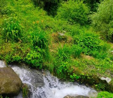 Ghiyagi Casa | River Front Homestay