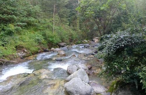Ghiyagi Casa | River Front Homestay