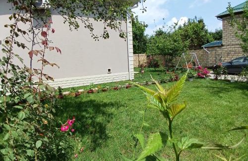 Gabala Villa | River Garden