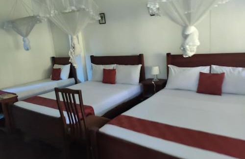 Anniwatta Casa | River Ivy's