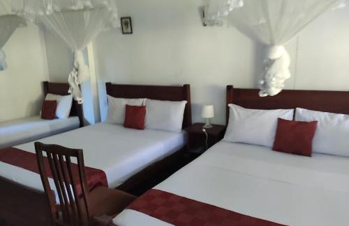 Anniwatta Casa | River Ivy's