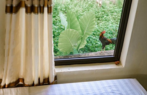 Phong Nha Casa | River Life Homestay