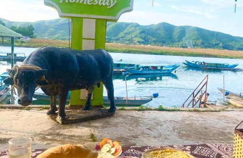 Phong Nha Casa | River Life Homestay