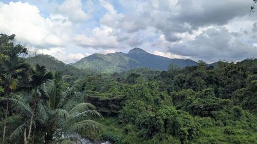 Kithulgala Complejo | River Resort Kitulgala
