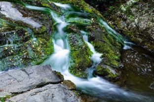 Gatlinburg Complejo | River Terrace Resort & Convention Center
