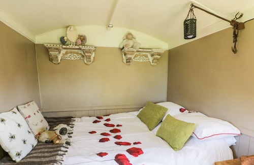 Newport Cabaña | RIVER VIEW, pet friendly, with a garden in Newport, Shropshire