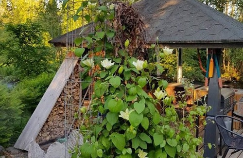 Aanekoski Chalet De Esquí | Riverfront Cottageee