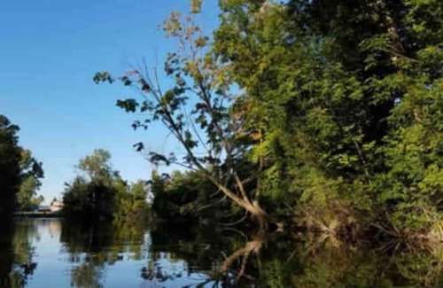Rockwood Condominio | Riverfront Retreat! #2/Fish/Hunt