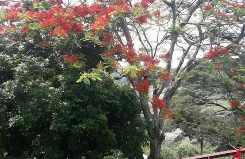 Kandy Apartamento | Riverine Cascade