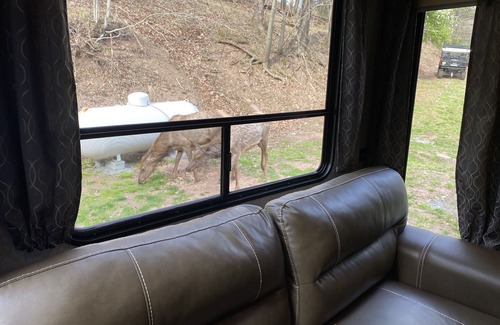 Driftwood Casa | Rivers, private elk viewing, FREE amenities, site on 62 acres