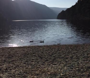 Glendalough Casa | Riversdale House room only accommodation, A98KD85