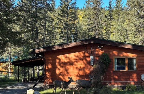 Bragg Creek Cabina | Riverside Bragg Creek Cabin en el corazón de la ciudad