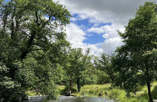 Staveley Cabaña | Riverside Cottage with bike storage - just 10 mins from Windermere