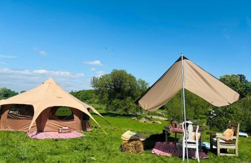 Hertford Otro | Riverside farm Yurt tent Hertford