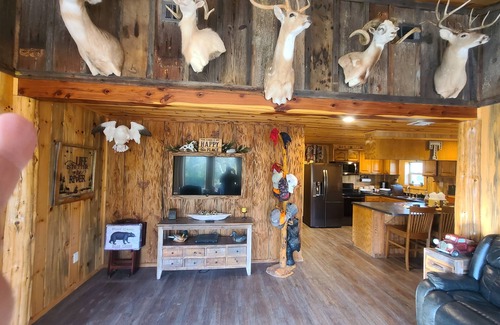 Alleene Cabina | Riverside Retreat Cabin on the banks of Little River.