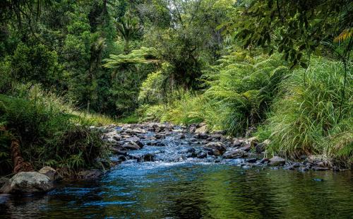 Waihi Casa | Riverstone Acres