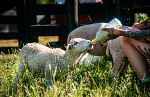 Waihi Casa | Riverstone Acres
