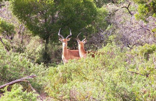 Kannaland Casa | Riverstone Game Farm