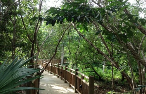 Villa Juarez Apartamento | Riviera Maya Vidanta- Mayan Palace 2Bdr. Suite Sleeps8, 2 Bedrooms, 2 Baths