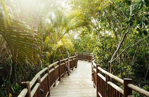 Villa Juarez Complejo | RIVIERA MAYA PARADISE - MAYAN PALACE - 2BD/2BATH SUITE W/PRIVATE TERRACE