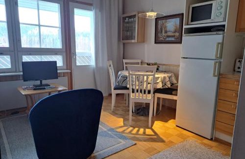 Tahkovuori Apartamento | Rivitalon huoneisto Tahkolla