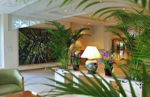 Tancha Complejo | Rizzan Sea Park Hotel Tancha Bay