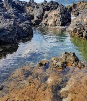Principe Island Casa | Roça Atalaia