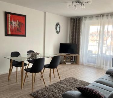 Roanne Apartamento | Roanne-centre appartement
