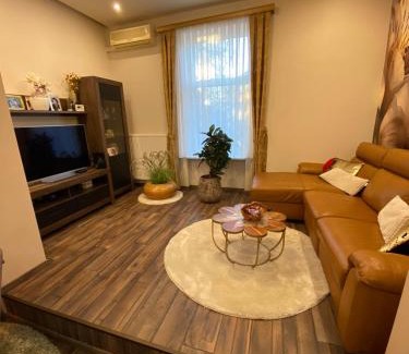 Celje Apartamento | Robert's Apartment