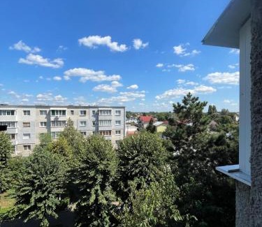 Ploiesti Apartamento | Robert's White Apartment
