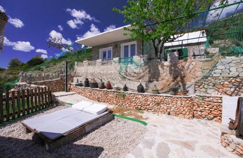 Bol Casa | Robinson Veritas