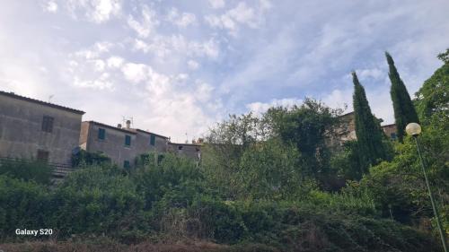 Roccatederighi Apartamento | Rocca Casa