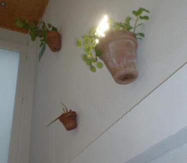 El Rocio Casa | Rocio Rooms