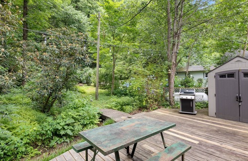 Chimney Rock Casa | Rock Base - Dog Friendly - Fire Pit - Internet - Walk to downtown - Mr. Lake Lure Vacation Rentals