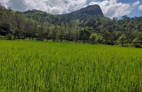 Chikkamagaluru Casa | Rock Hill View Eco Stay