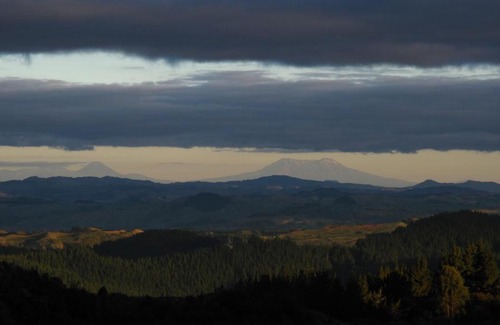 Waitomo Caves Casa | Rock Retreat B&B farmstay