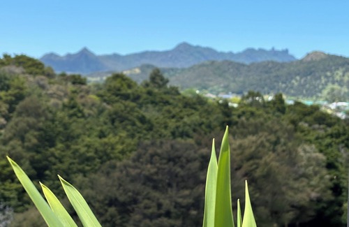 Parua Bay Cabaña | Rodgers Post - peace, elevation, water, mountains, bush