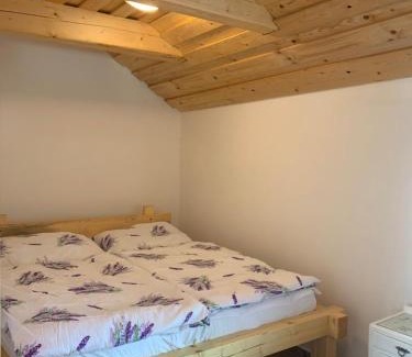 Nove Mitrovice Chalet De Esquí | Rodinný dům u Jacka
