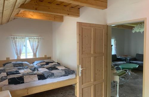 Nove Mitrovice Chalet De Esquí | Rodinný dům u Jacka