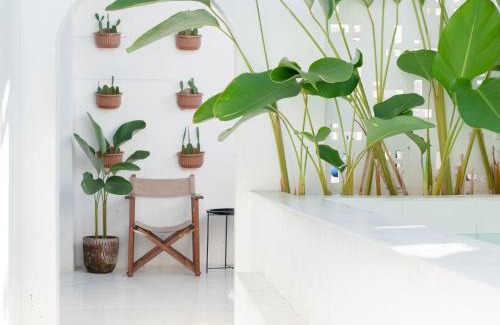 Makassar Casa | Roemah Renjana Sunny