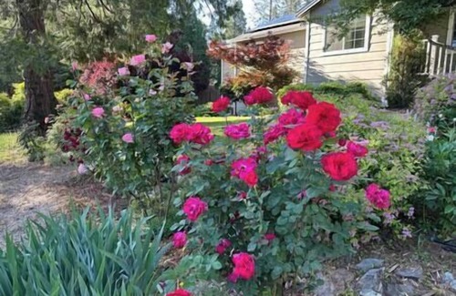 Cedar Ridge Casa | Rollins Lake Garden Paradise Getaway