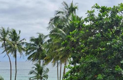 Habaraduwa Villa | Roman Residence - Unawatuna