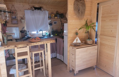 L'Ametlla de Mar Chalet De Esquí | Romantic chalet with private pool surrounded by olive trees.