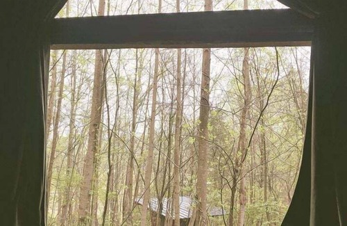 West Baden Springs Alquiler De RV | Romantic Escapes with Dinner Included in Cozy Nests for Glamping in West Baden Springs, Indiana