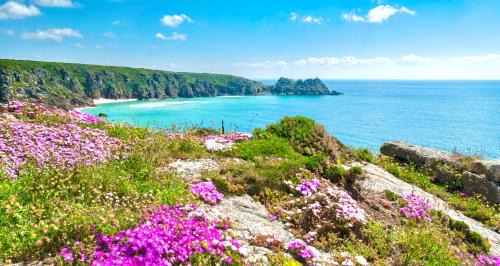 Truro Casa | Romantic log-burner Cornish Cottage private garden dogs welcome