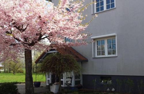 Vinningen Casa | Romantic, luxurious en modern holidayhome