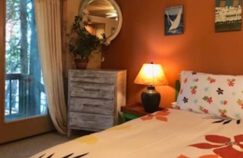 South Hero Cabaña | Romántico, tranquilo lago frente a una casa de un dormitorio, perro amigable con sauna.